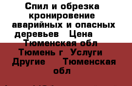 Спил и обрезка (кронировение) аварийных и опасных деревьев › Цена ­ 1 - Тюменская обл., Тюмень г. Услуги » Другие   . Тюменская обл.